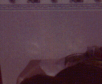 alien1.jpg (16001 bytes)