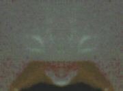 alien1cp.jpg (11577 bytes)