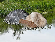 Steen in de rivier