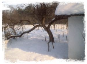 Winter 2001