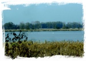 Het meer