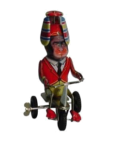 aap