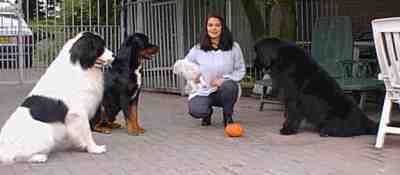Monique Hendriks tussen een paar van haar geliefde huisdieren