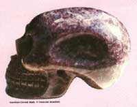 schedel van amethyst